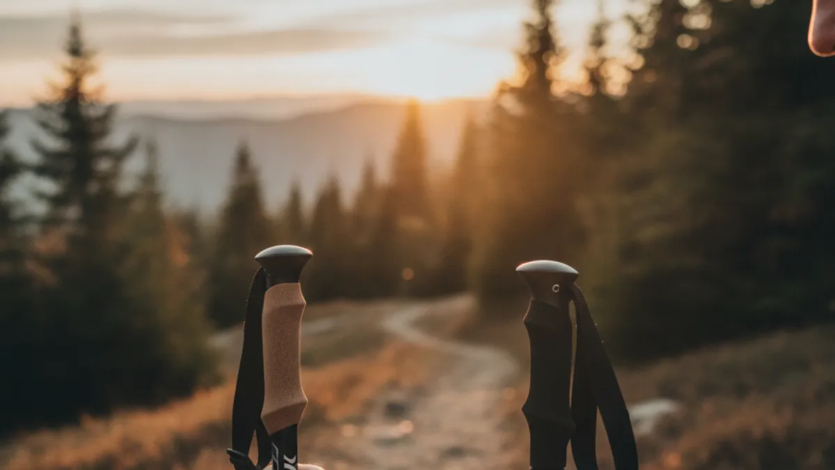 Your Final Verdict: Making the Best Choice